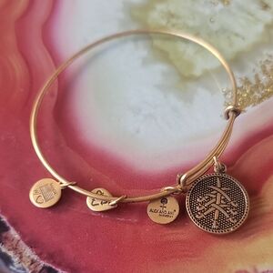 Alex and Ani Energy Charm Bracelet